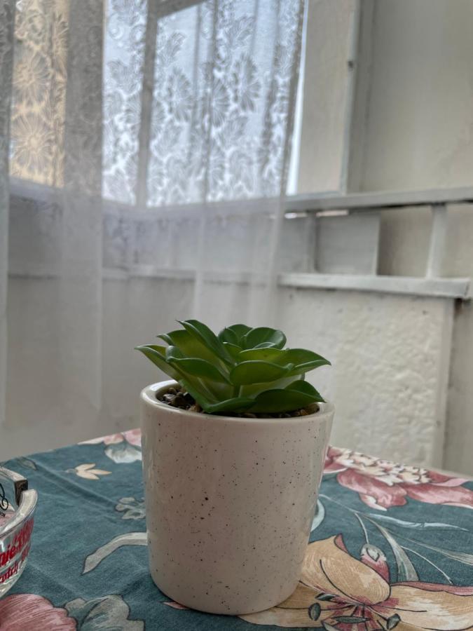 Apartament Orsova Faleza Zewnętrze zdjęcie